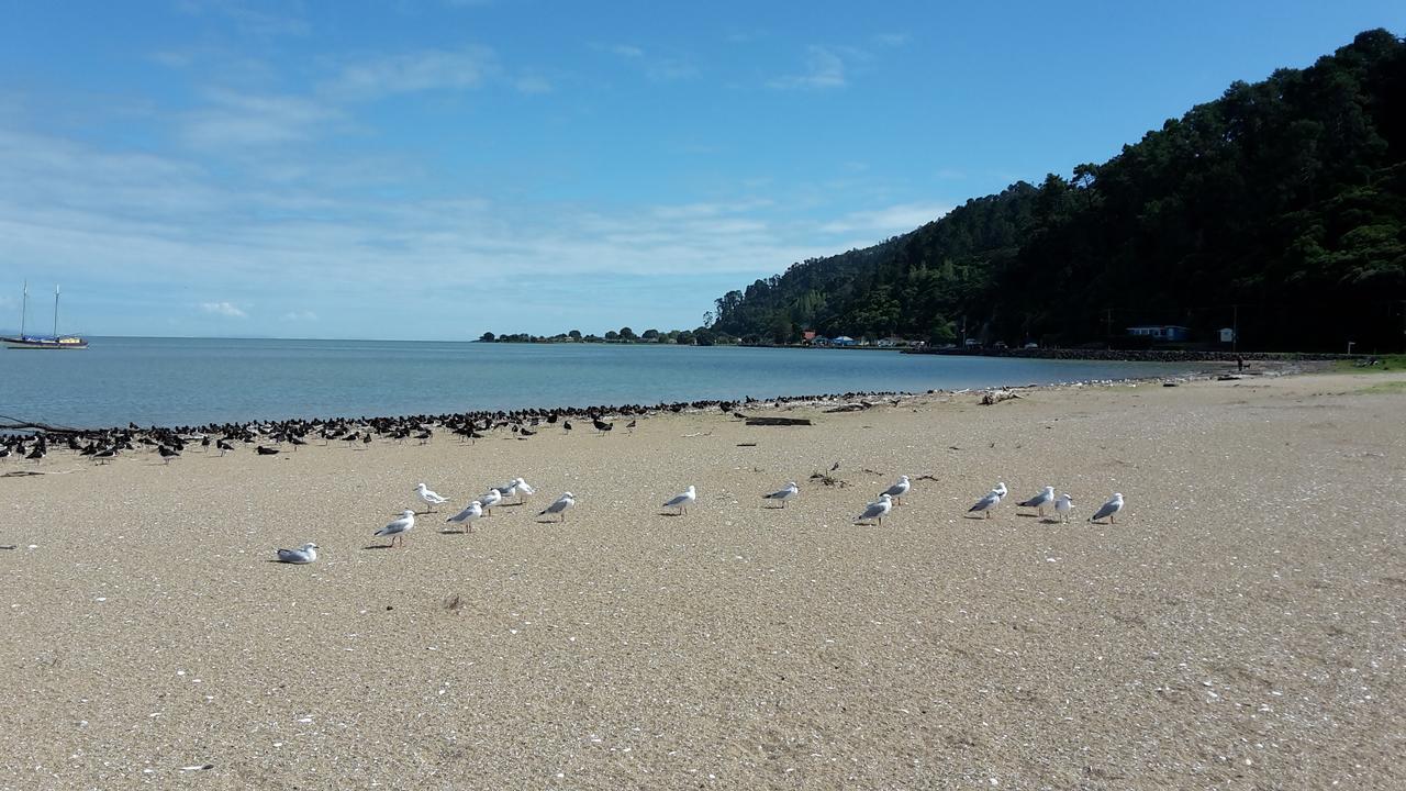 Kuranui Cottage Thames Εξωτερικό φωτογραφία